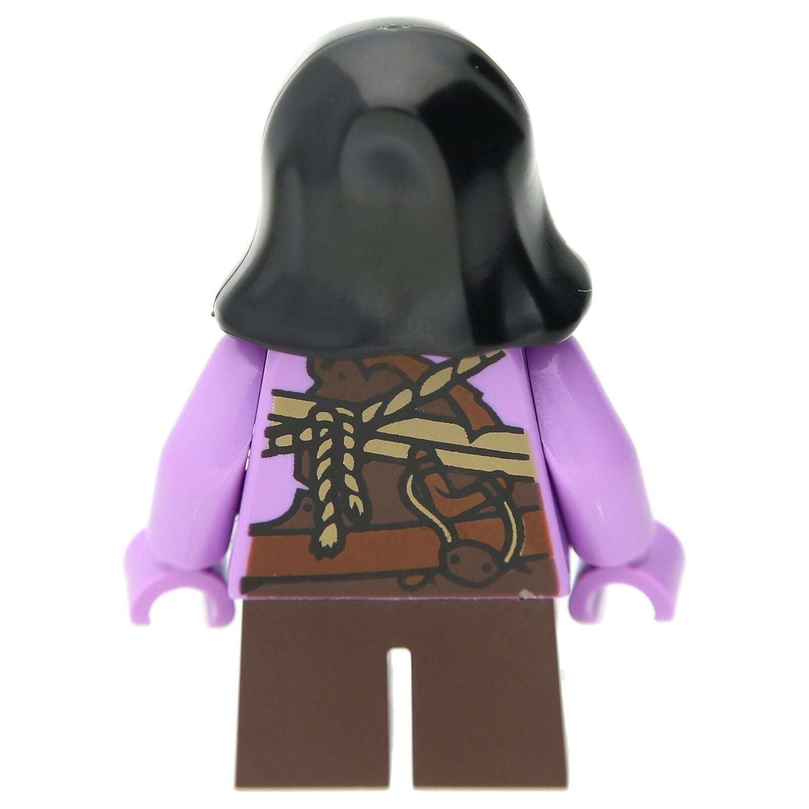 LEGO Ninjago Minifigure - Ginkle (adventure in a new world)